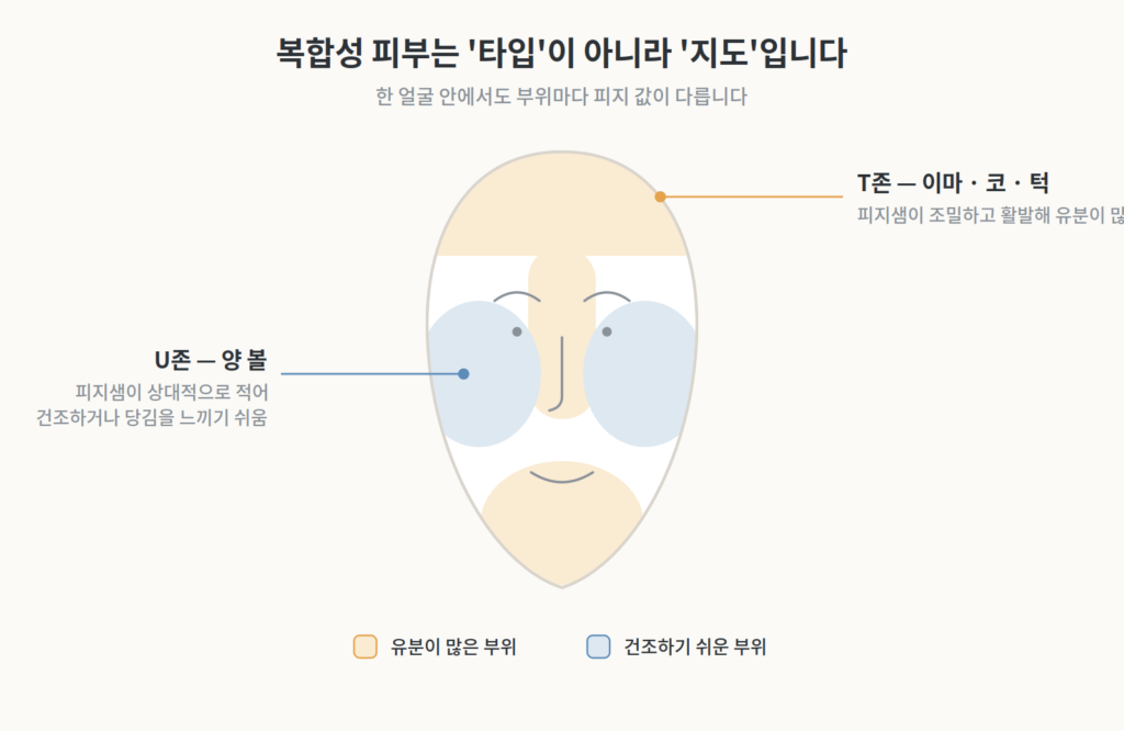 복합성 피부의 T존과 U존을 서로 다른 색으로 구분해 표시한 얼굴 지도 일러스트
