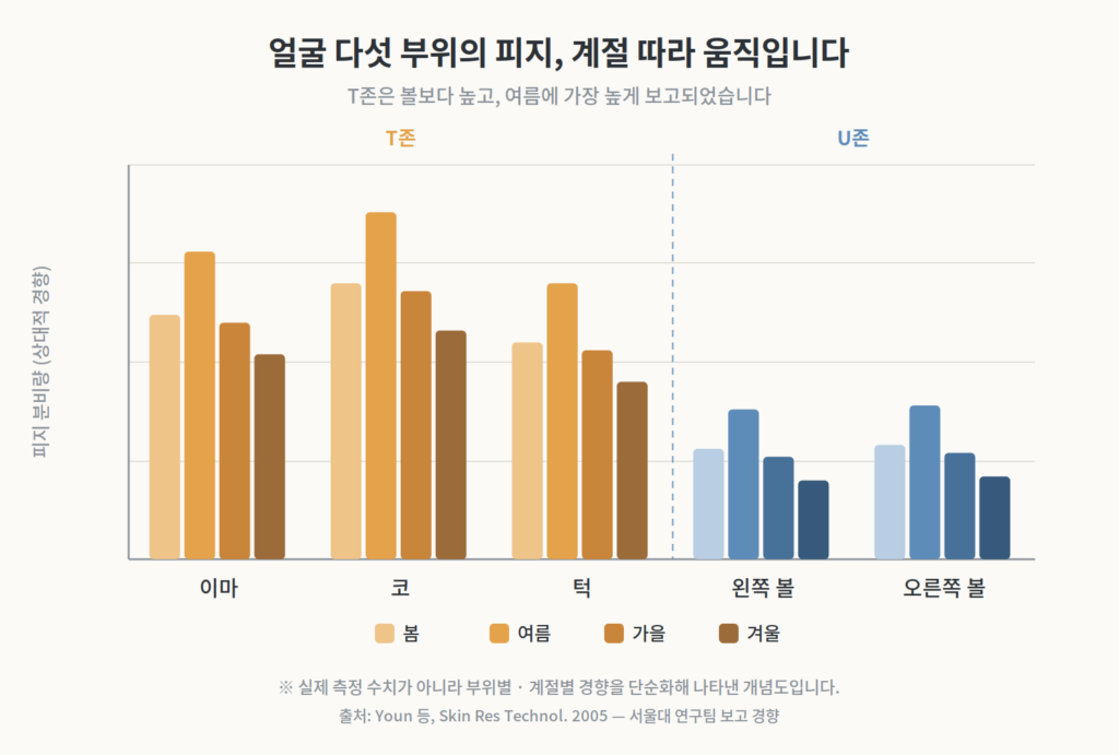 이마 코 턱 좌우 볼 다섯 부위의 피지 측정값을 계절별로 비교한 그래프 