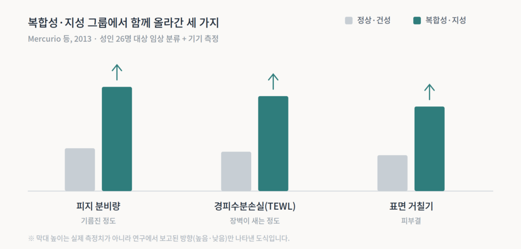 정상·건성 그룹보다 복합성·지성 그룹에서 피지 분비량, 경피수분손실, 표면 거칠기가 모두 더 높게 나타난 것을 보여주는 막대그래프