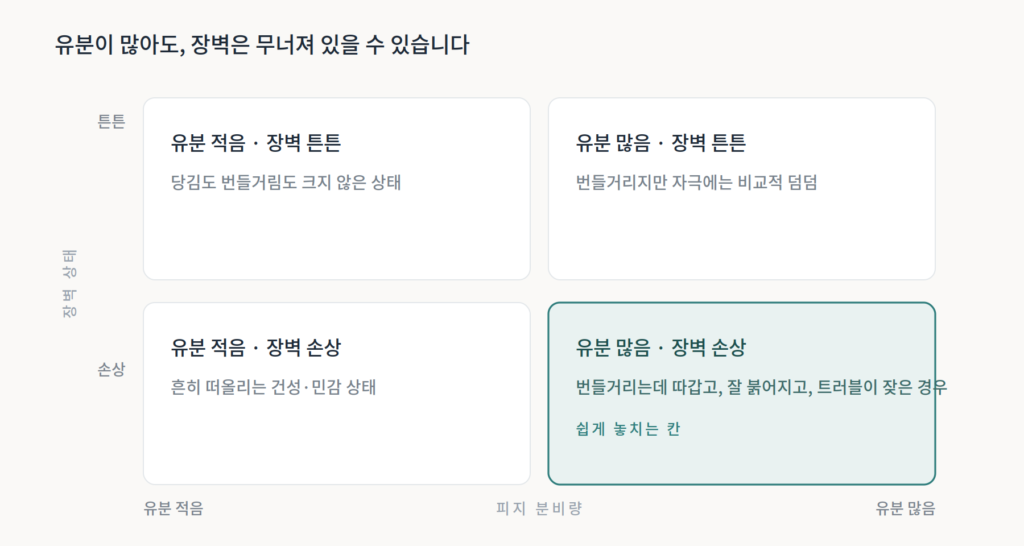 가로축은 유분량, 세로축은 장벽 상태로 나눈 네 칸 표. 유분이 많으면서 장벽은 손상된 칸이 강조되어 있다