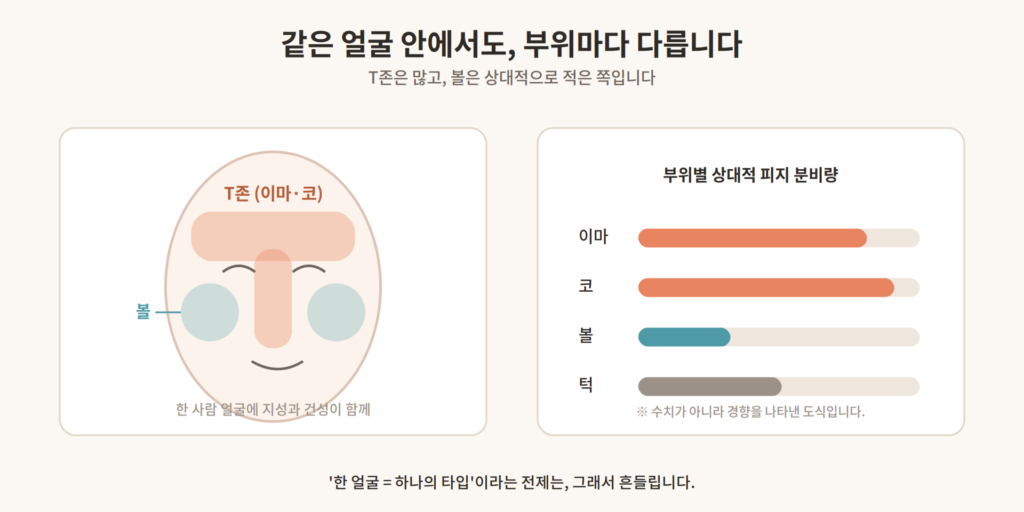 T존과 볼의 피지 분비 차이를 보여주는 얼굴 부위별 비교 도표