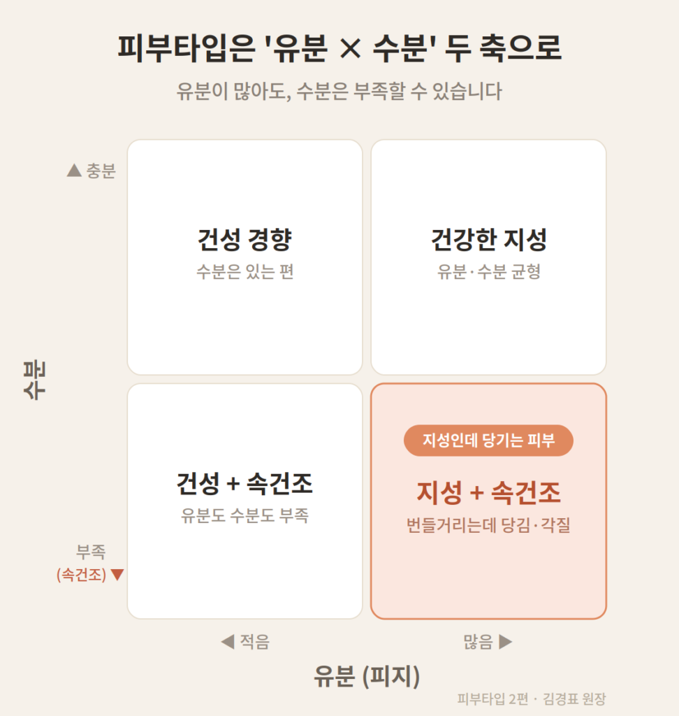 유분과 수분을 서로 다른 축으로 나눈 4분면 피부타입 분류 매트릭스, 지성 속건조 영역 강조