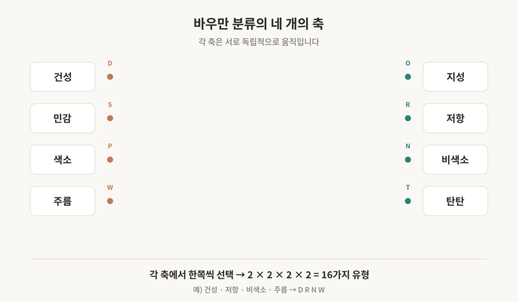 건성-지성, 민감-저항, 색소-비색소, 주름-탄탄 네 개의 축으로 피부타입 분류를 설명하는 도표