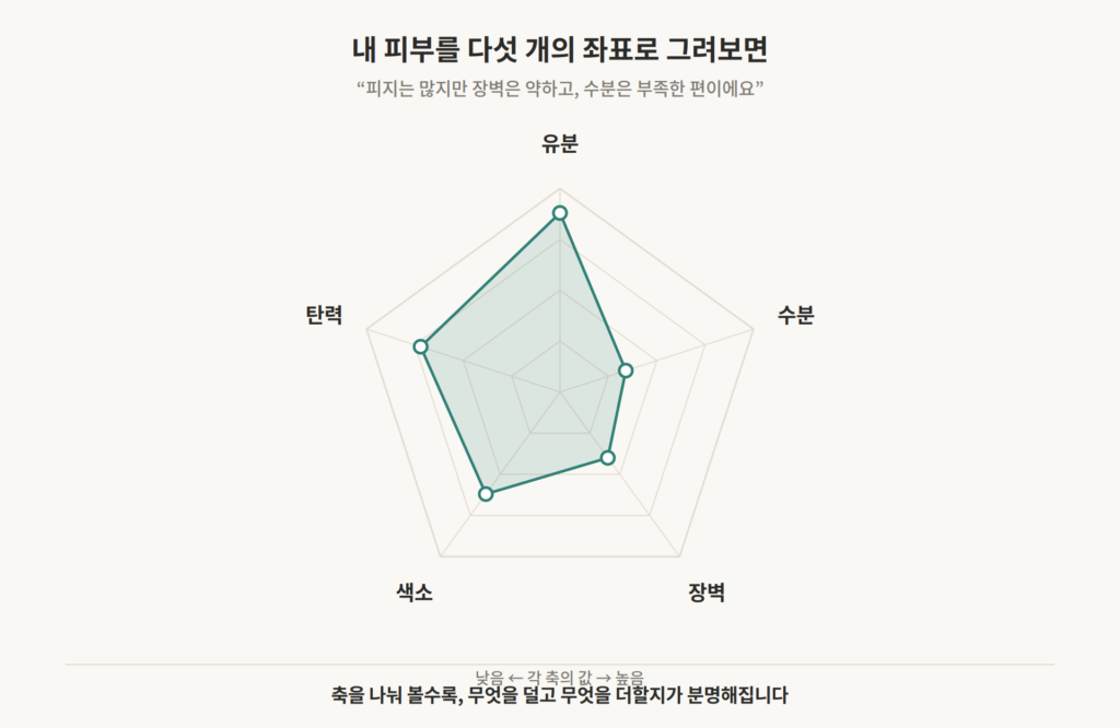 유분·수분·장벽·색소·탄력 다섯 개 축의 좌표 위에 개인의 피부 상태를 점으로 표시한 레이더 차트